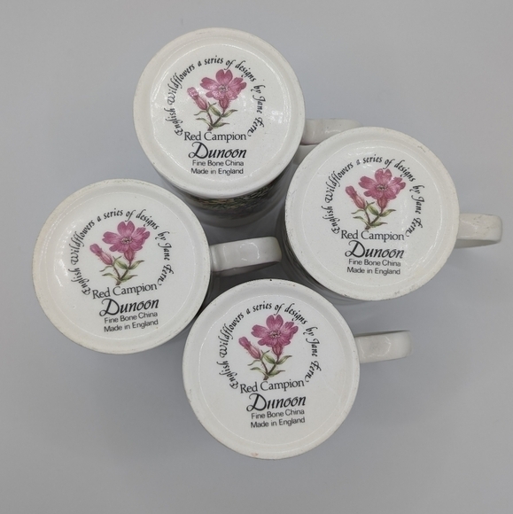 Dunoon Red Campion Fine China 10 Oz Mug Set English Wildflowers Jane Fern - Picture 7 of 12